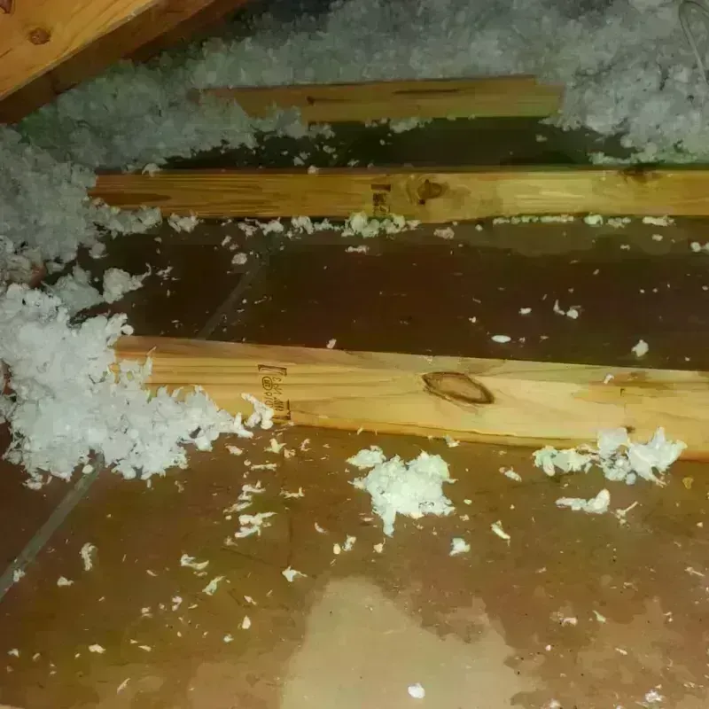 Attic Water Damage in Dickey County, ND